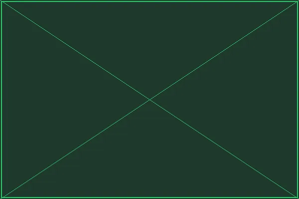 奇幻试炼演练场全景 - 赏金女王试玩